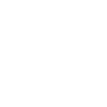 Lion Containers Ltd